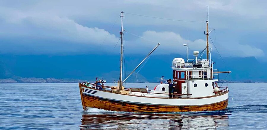 Fishing trip from Henningsvær - Key points at a glance