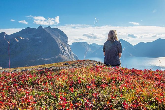 Fjord Expedition: Arctic Adventure Awaits - What to wear for a five-hour Arctic outing