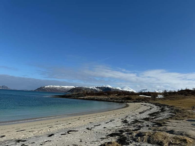 Fjord Foto Tour to Sommaroy (Roadtrip) - Booking, timing, and practical value
