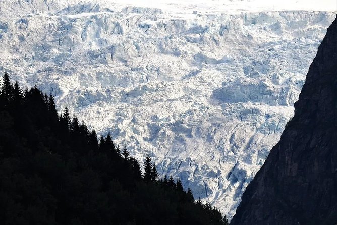 Fjord & Glacier Tour - From VOSS - Key points before you book