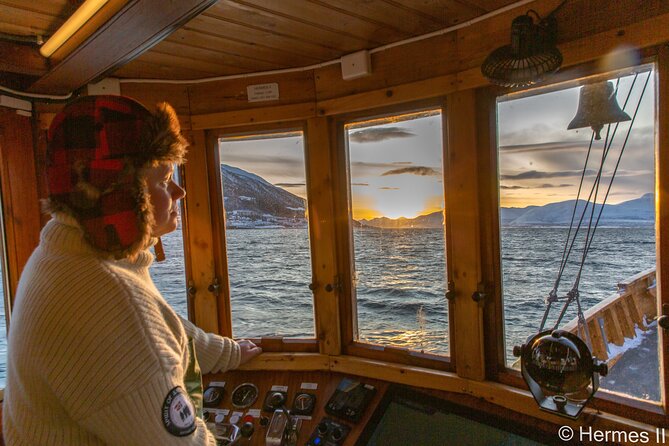 Fjord & History Cruise - Passing beneath the Tromsø Bridge area