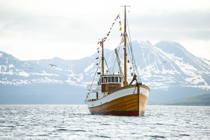 Fjord & History Cruise - The Arctic Cathedral from the sea