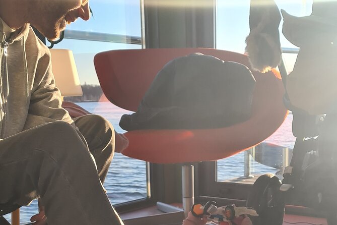 Fjord Houseboat Cruise in Oslo. 100 % electric. BYO - The marina route: food, art, and floating saunas