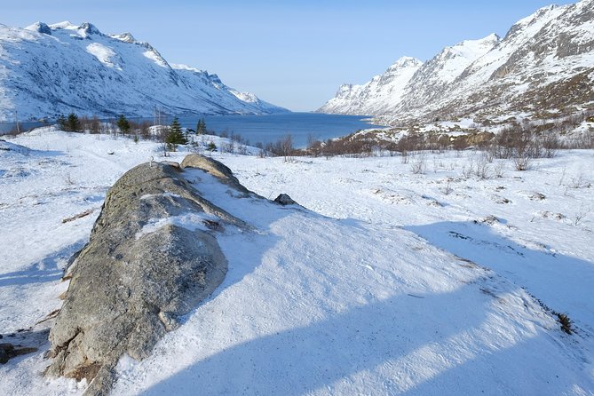 Fjord, Mountain and Wildlife Tour - Leaving Tromsø for Kvaløya’s open views