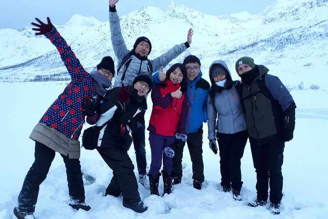 Fjord, Mountain and Wildlife Tour - What the guides add to the drive