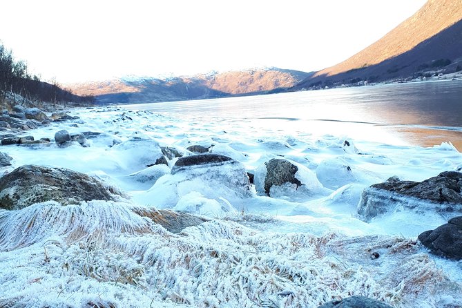 Fjord, Mountain and Wildlife Tour - Thermal suits, boots, snacks, and comfort