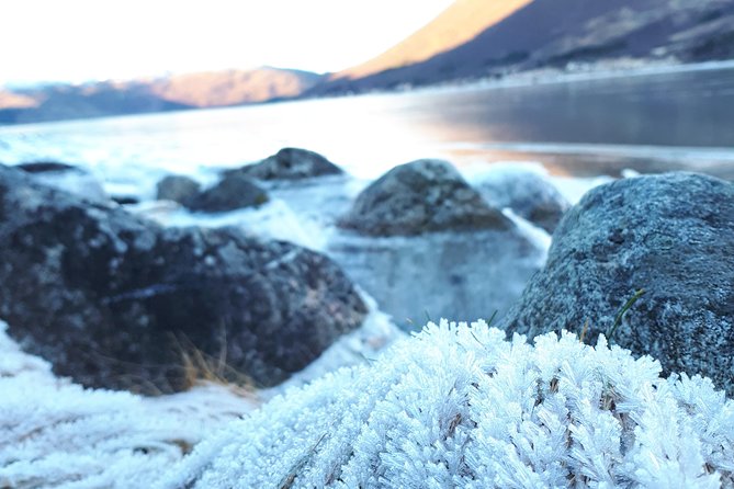 Fjord, Mountain and Wildlife Tour - Is $123.78 fair for a half-day?