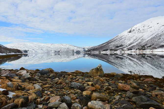 Fjord, Mountain and Wildlife Tour - Who should book this Tromsø fjord tour?