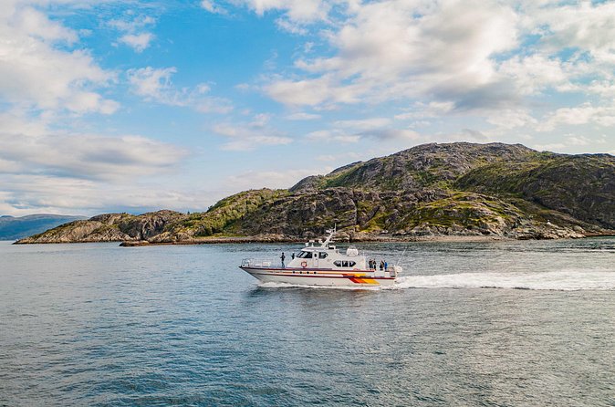 Fjord Safari in the Altafjord - Wildlife watching without promises