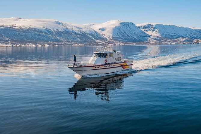 Fjord Safari in the Altafjord - A warm cabin makes a real difference