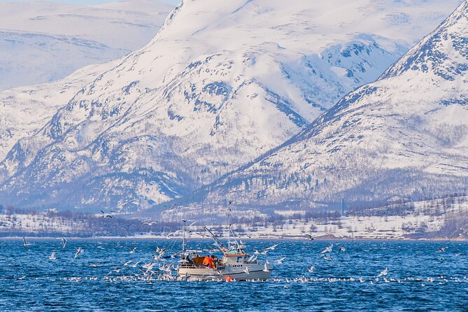 Fjord Safari in the Altafjord - The guide and crew shape the experience