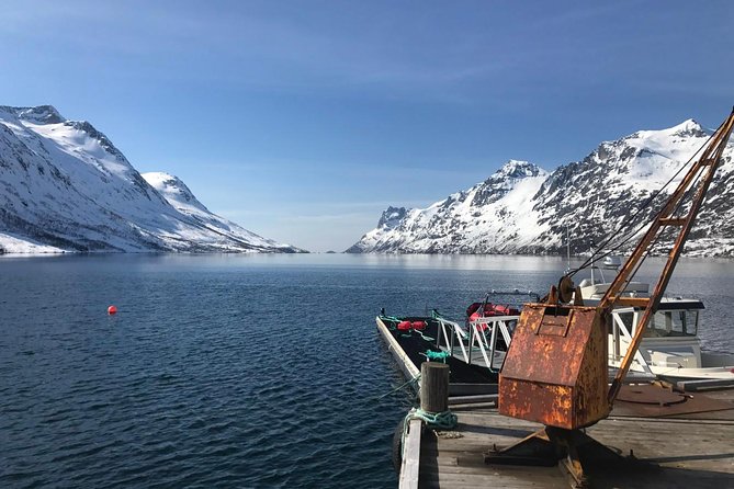 Fjord Sightseeing - Eco friendly Tesla Model X - Key things to know before booking