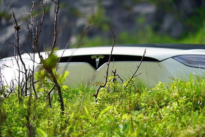 Fjord Sightseeing - Eco friendly Tesla Model X - Setting out from Fredrik Langes gate 2