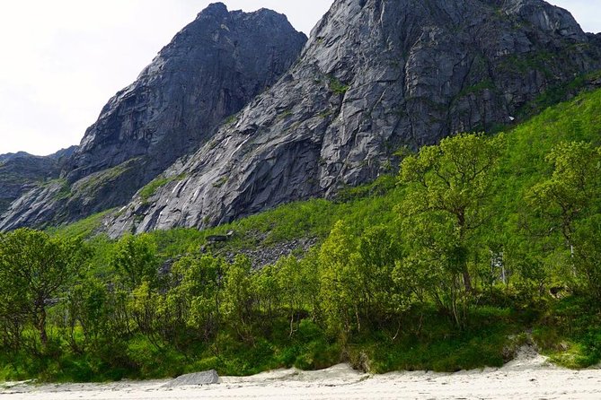 Fjord Sightseeing - Eco friendly Tesla Model X - What the three-hour pace gives you