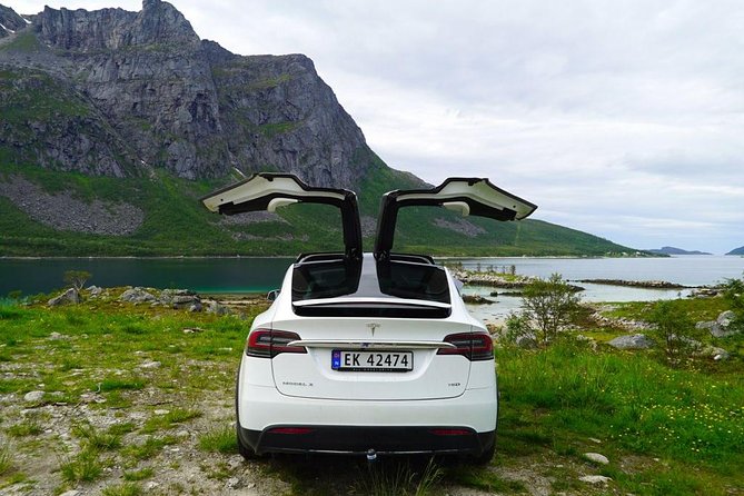 Fjord Sightseeing - Eco friendly Tesla Model X - Coffee, cake, and a small café pause