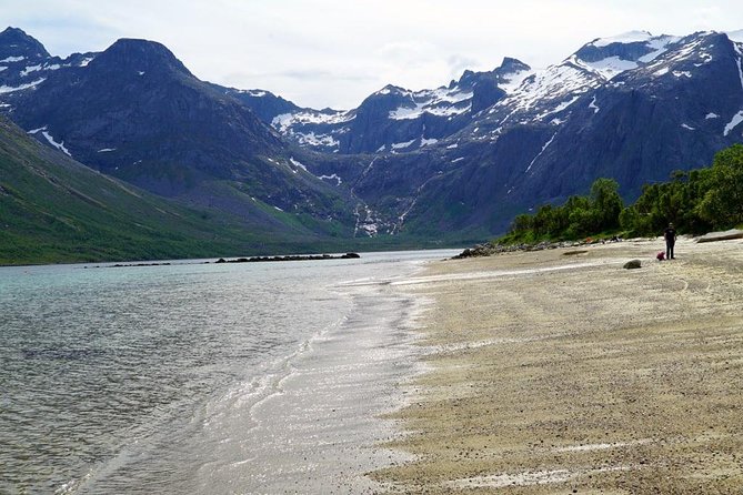 Fjord Sightseeing - Eco friendly Tesla Model X - The Tesla Model X difference
