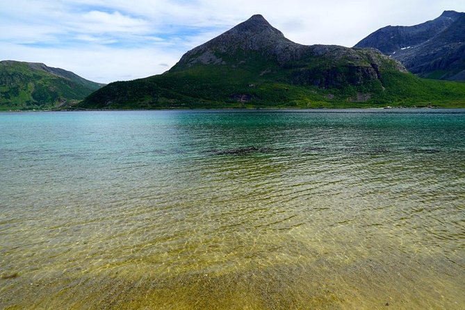 Fjord Sightseeing - Eco friendly Tesla Model X - Is the $171.16 price good value?