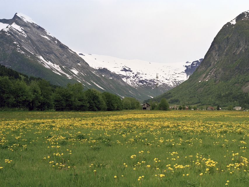 Fjords: Private Trip with Train and Cruise Ride - Taking the train toward Flåm