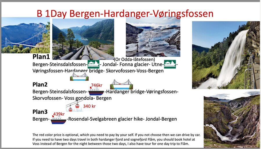 Flåm Flexible Tour with Stegastein, cruise and train include - What the $1,510 group price really buys