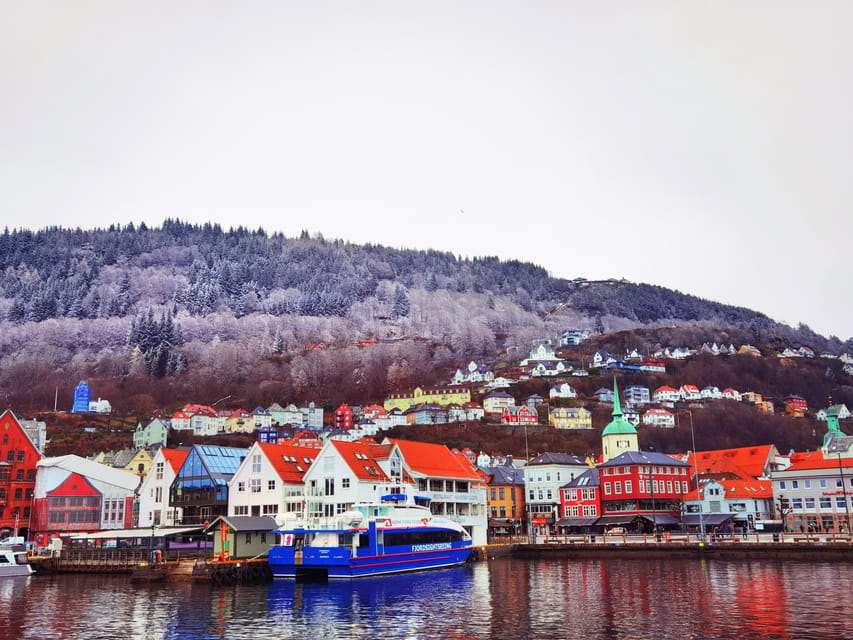 Flåm Flexible Tour with Stegastein, cruise and train include - Why the flexible format matters on this Bergen day trip