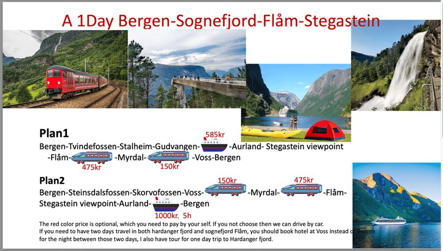 Flåm Flexible Tour with Stegastein, cruise and train include - Flåm and the famous railway ride