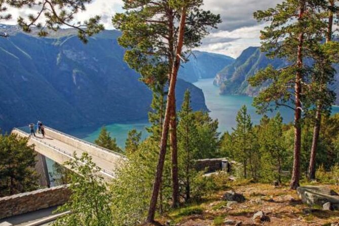 Flam: The Spectacular Stegastein Viewpoint Tour (Small Group) - The view depends heavily on the weather