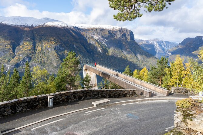 Flam: The Spectacular Stegastein Viewpoint Tour (Small Group) - Who will enjoy this tour most?