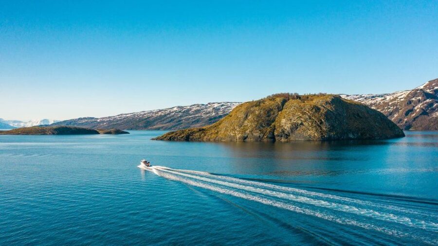 From Alta: Adventure Cruise in Alta Fjord - Quick takeaways for your Alta day