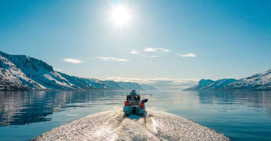 From Alta: Adventure Cruise in Alta Fjord - Bird watching along the cliffs