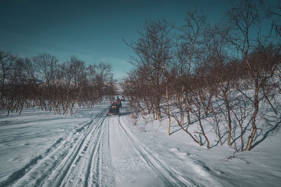 From Alta: Daytime Snowmobile Adventure - Practical advice before you reserve
