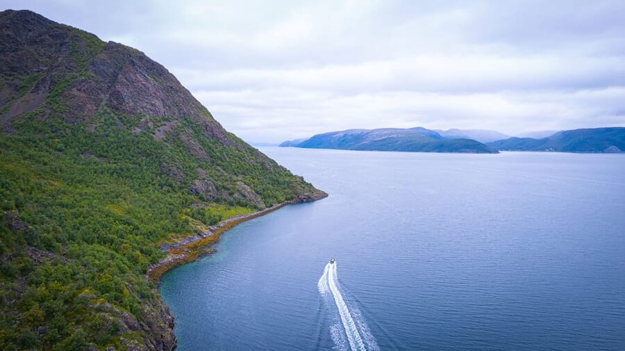 From Alta: Experience Seiland National Park - Flowers, birds, seals, and glacier views