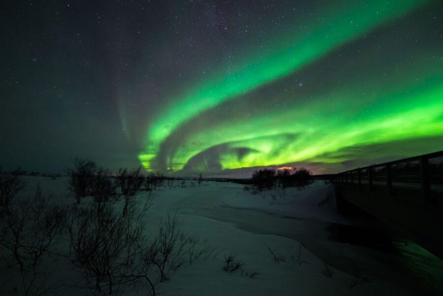 From Alta: Nighttime Northern Lights Spotting Tour - The minibus search and the value of local judgment