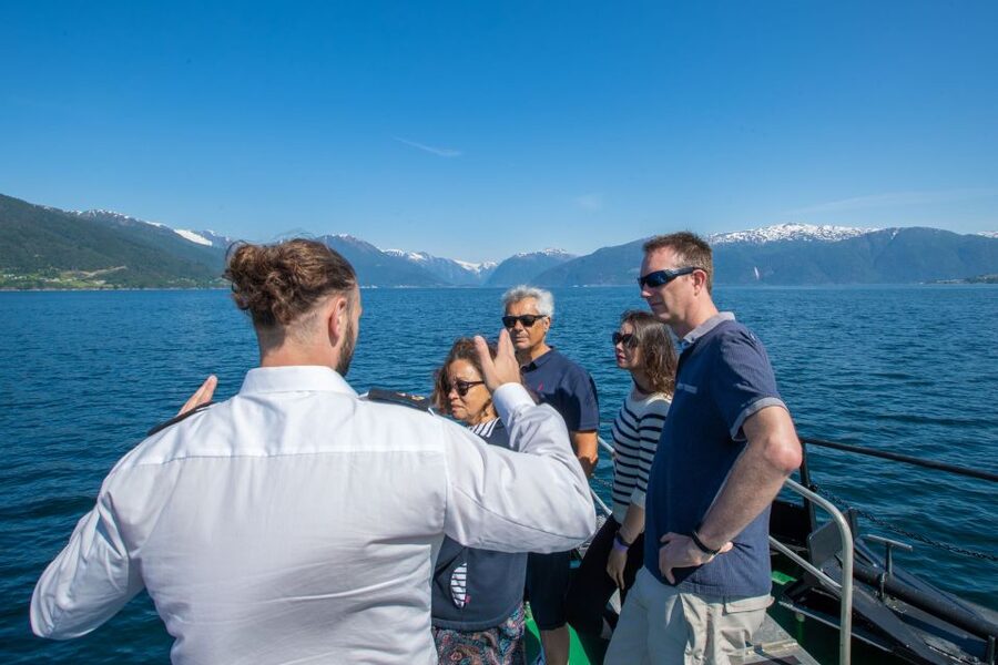 From Balestrand: Guided Fjord & Glacier Tour to Fjærland - The best parts of this Fjærland excursion