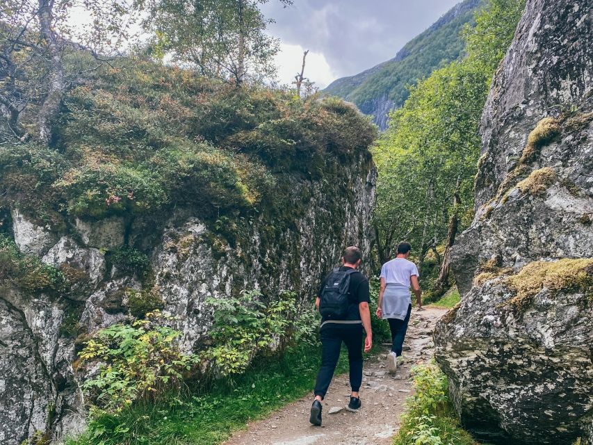 From Bergen: Folgefonna National Park & Glacier Lake Tour - Who will enjoy this day most?