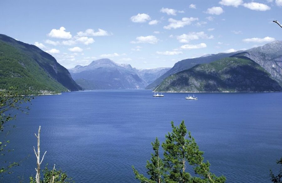 From Bergen: Private Trip to Hardangerfjord - Key points to know before booking