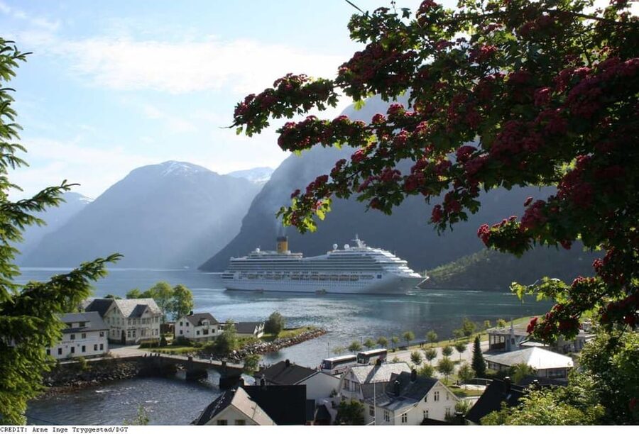 From Hellesylt: The Best of Geiranger Shore Excursion - From Hellesylt pier to the mountain road