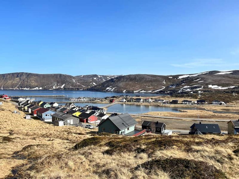 From Honningsvåg: North Cape and King Crabs Tour - How the $194 price measures up