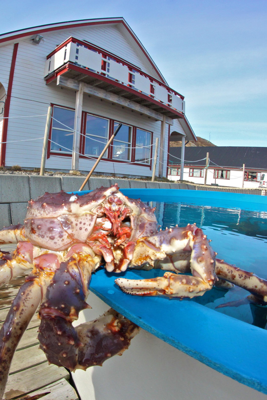 From Honningsvåg: VIP North Cape and Kingcrab Tour - Is $355 a fair price?