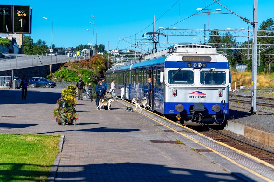 From Narvik: Roundtrip Arctic Train Ride on Ofoten Railway - Who should book the Arctic Train?