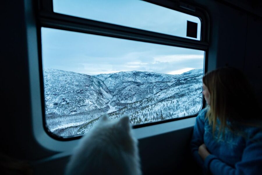 From Narvik: Roundtrip Arctic Train Ride on Ofoten Railway - The climb from Narvik toward Bjørnfjell