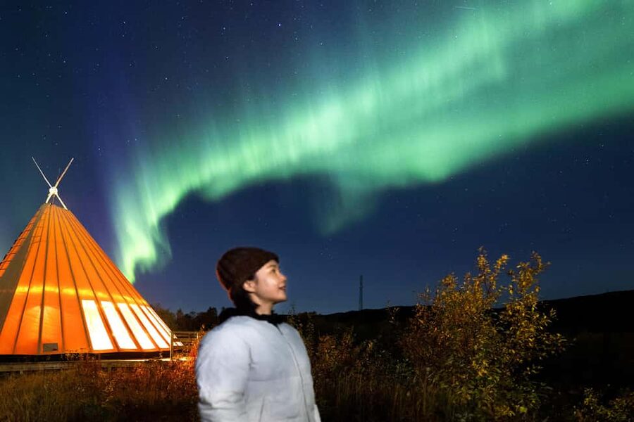 From Narvik: The Northern Lights Arctic Train Guided Tour - Is $142 a fair price?