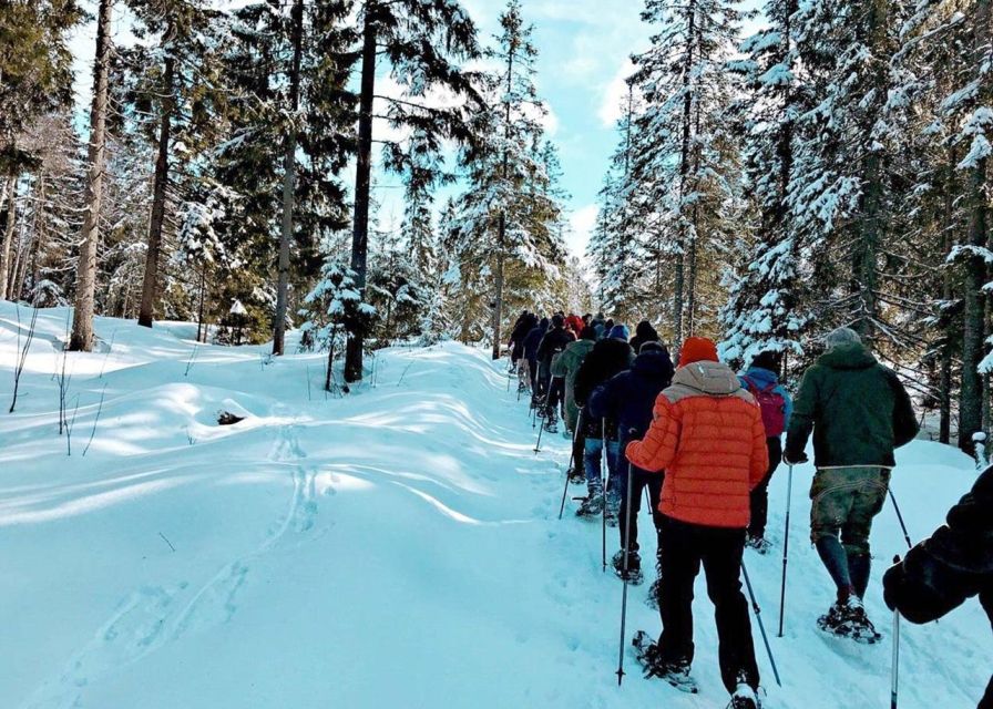 From Oslo: Oslomarka Forest Guided Snowshoeing Tour - From Oslo Central Station To Frognerseteren