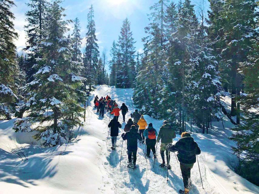 From Oslo: Oslomarka Forest Guided Snowshoeing Tour - The Guide Makes The Difference
