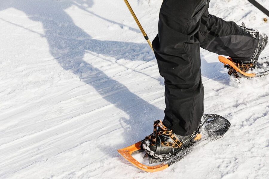 From Oslo: Oslomarka Forest Guided Snowshoeing Tour - Returning To Oslo