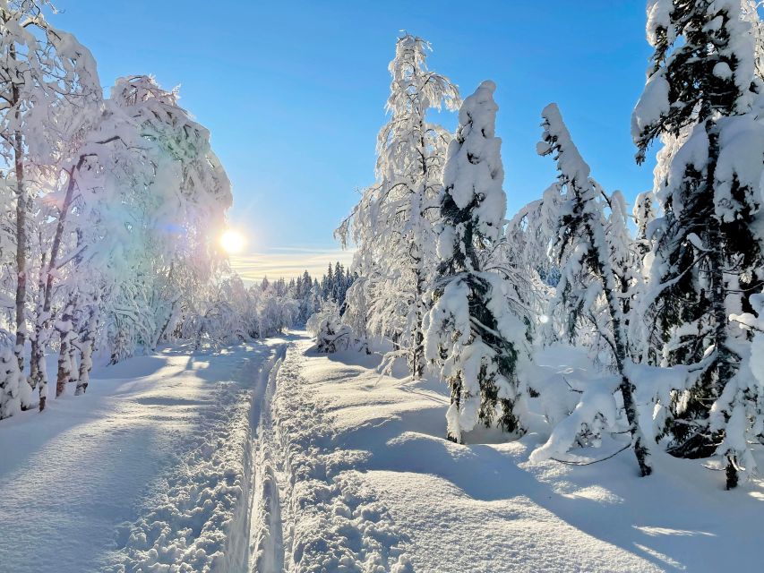 From Oslo: Oslomarka Forest Guided Snowshoeing Tour - Learning The Snowshoes Before The Trail