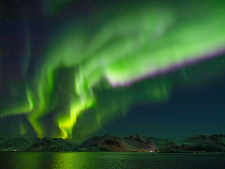 From Svolvær: Guided Northern Lights Tour by Van - Taking good aurora photos with your phone or camera