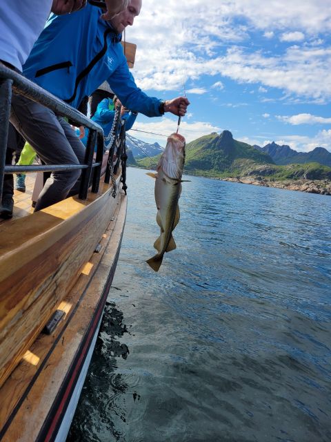 From Svolvaer: Lofoten Fishing Boat Cruise - Leaving Svolvær for a working sea