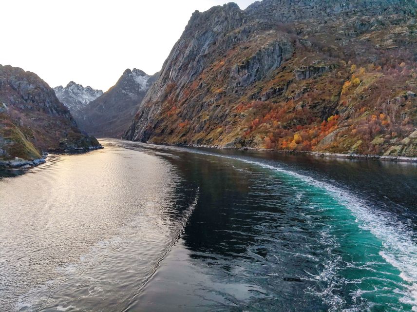 From Svolvær: Lofoten Islands Silent Trollfjord Cruise - Fiskerkona, Høla, and the first coastal views