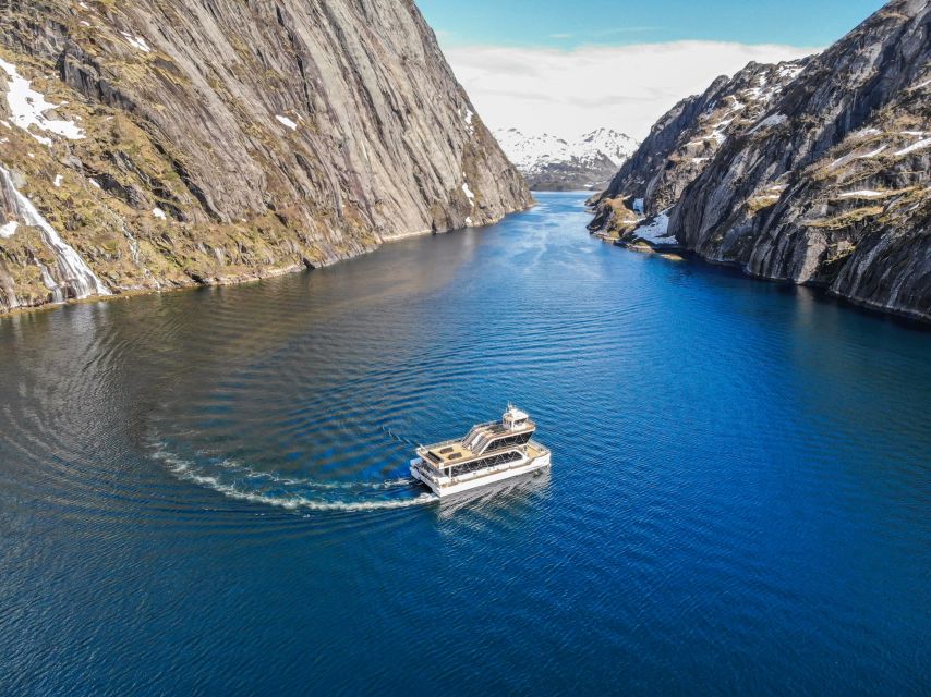 From Svolvær: Lofoten Islands Silent Trollfjord Cruise - Is $140 a fair price?