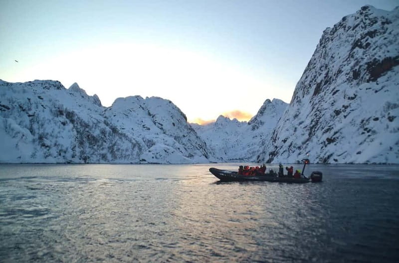 From Svolvær: Lofoten RIB Sea Eagle Safari Trollfjord Cruise - Practical Tips for a Better Ride